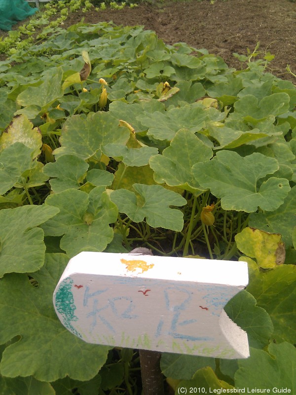 20100215Farm Visit10.jpg